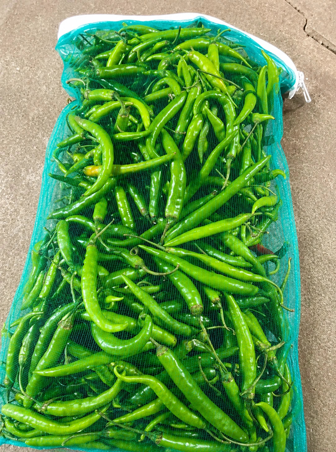 Set of 12 Fresh Storage Bags to Keep Fruits & Veggies Organized